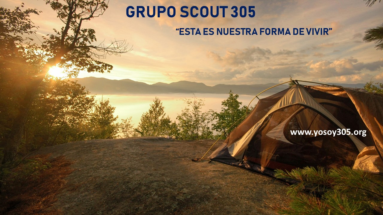 Grupo Scout 305
